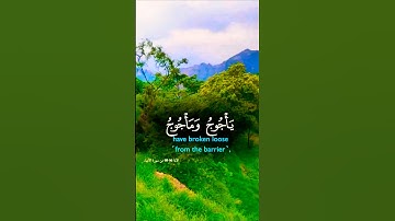 قران_كريم تلاوة تفوق الوصف بصوت تخشع له القلوب #قران_كريم #قرآن #elmulquranعلم #لايك #اكسبلور