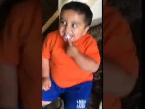 Little Fat Kid Meows after licking his plate