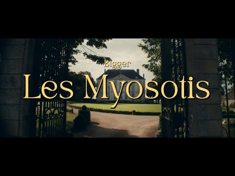 Bigger - Les Myosotis [official video]