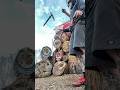 How to throw an axe, pt.4 #trickshot #class #blooper #itsmylife