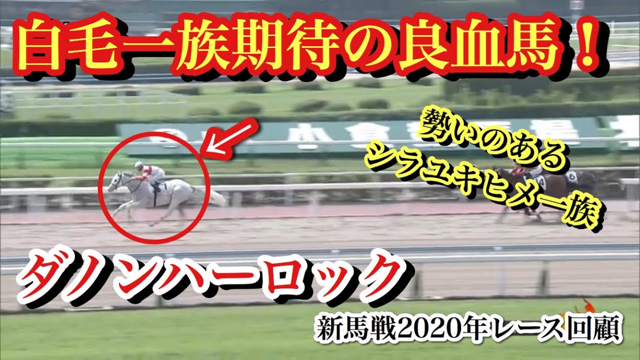新馬戦 白毛一族期待の良血馬 ダノンハーロック シラユキヒメ一族の勢いは止まらない 気になる2歳馬紹介 Youtube 新馬戦 白毛一族期待の良血馬 ダノンハーロック シラユキヒメ一族の勢いは止まらない 気になる2歳馬紹介 Youtube