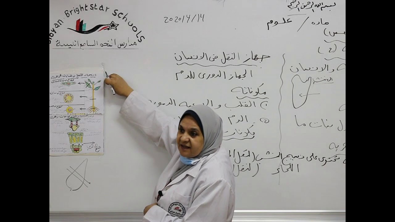 مادة العلوم للصف الثامن الأساسي/   النقل في المخلوقات الحية