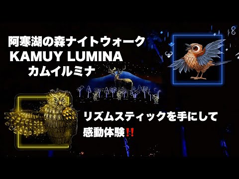 【阿寒湖の森ナイトウォーク KAMUI LUMINA カムイルミナ】一生心に残る素敵な感動を❗️