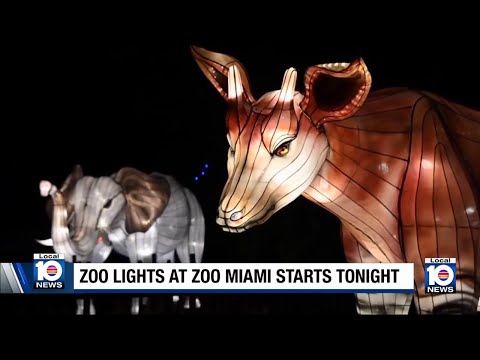 Zoo Lights Tickets