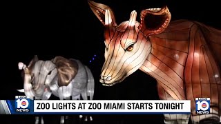Famous Zoo Lights at Zoo Miami gets ready to kick off Wealth