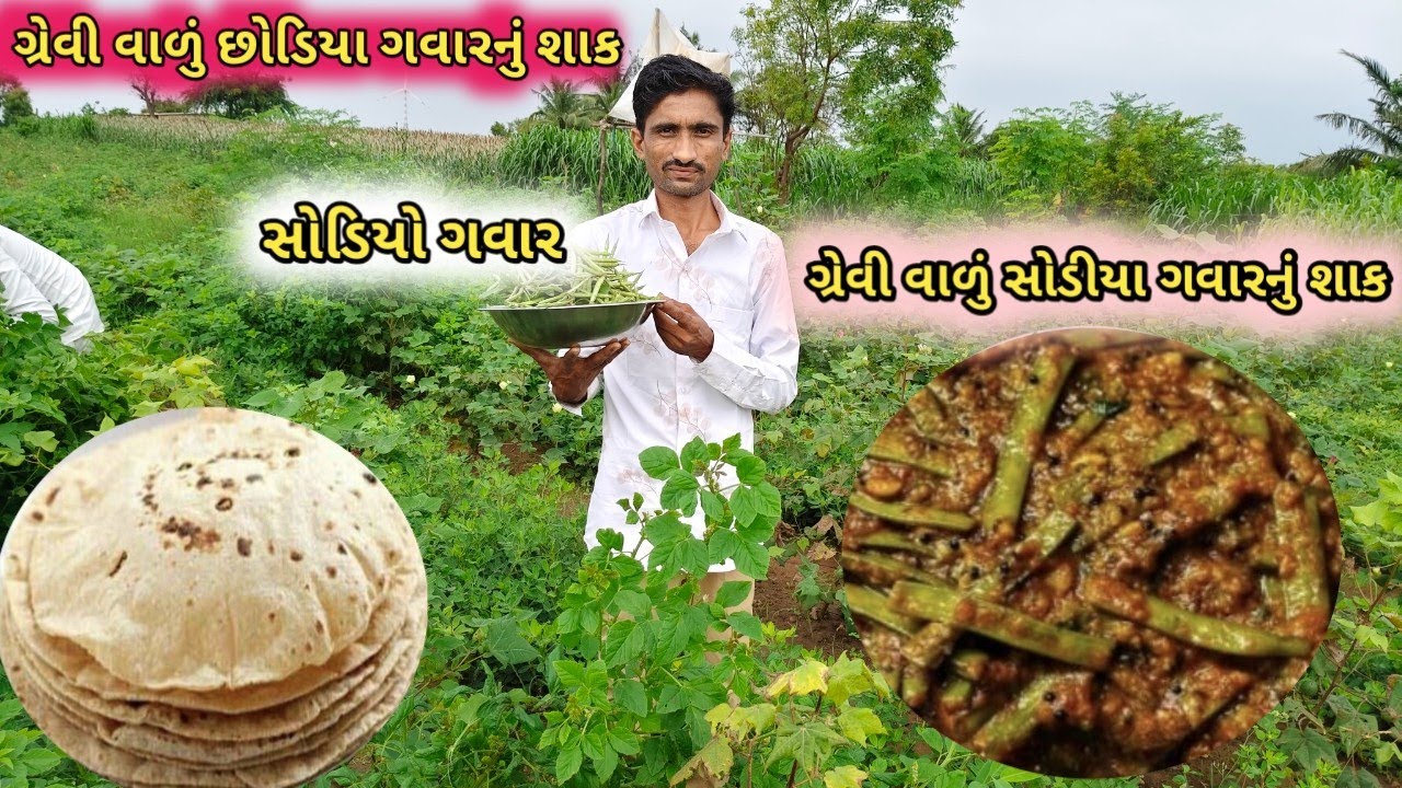 ગ્રેવી વાળું સોડા નું શાક | gravy wala soda Nu shaak |Gujrati recipe | cooking video | Village video