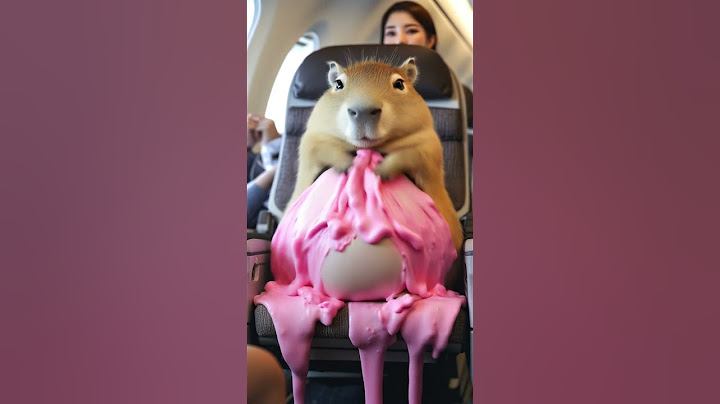卡皮巴拉在飞机上揉出好多泡沫  Capybara rubbed a lot of foam on the plane#capybara #funny #animals #カピバラさん