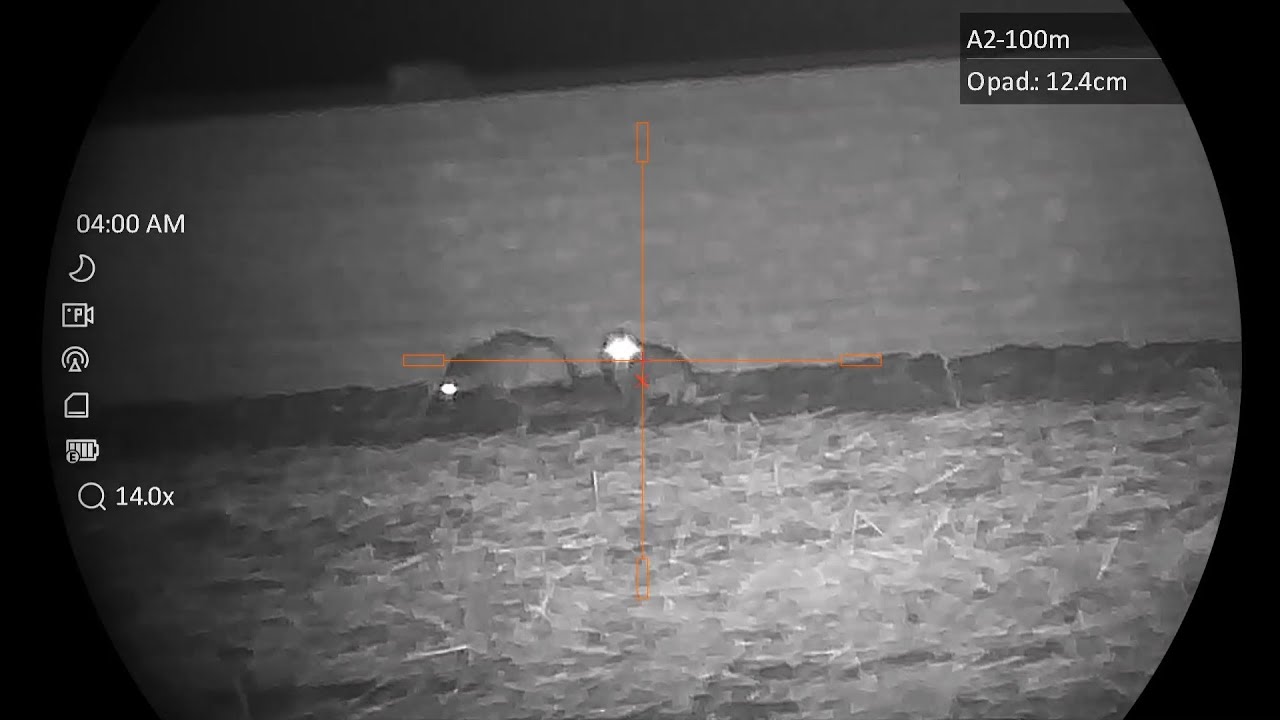 Racoon dog Hunting | Hikmicro Alpex 4k | CZ 600 6,5 Creedmoor