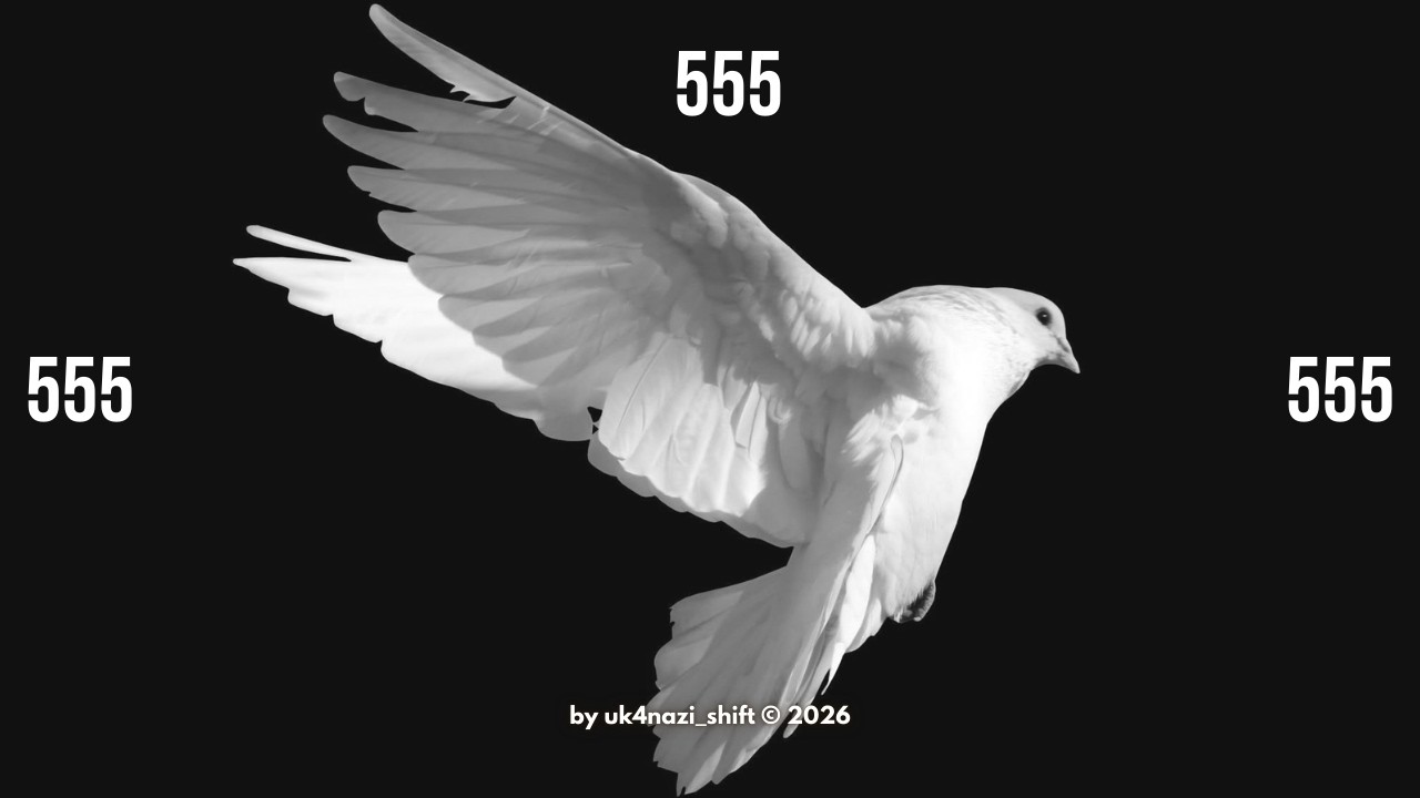 ✦ это найдёт тебя за 24 часа до лучшей новости в году (555)