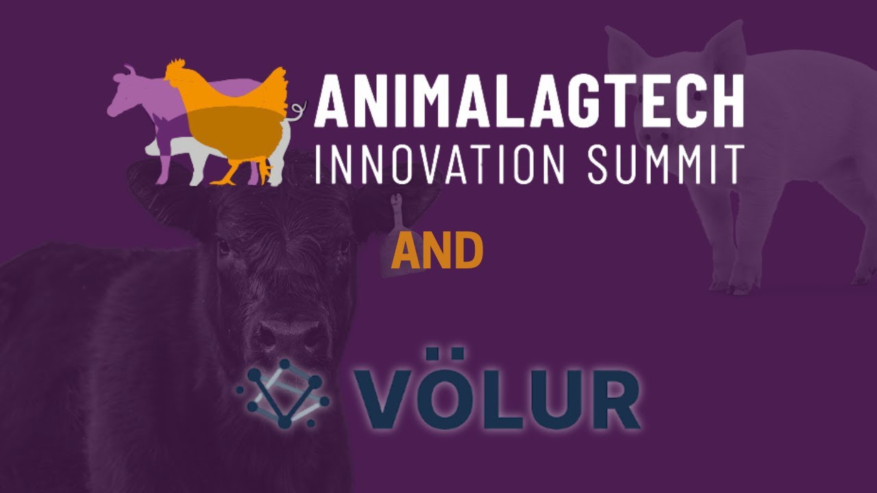 Völur’s Vision for Smarter Meat Processing | AI in AgTech with Anna von Zeppelin & Michael Farrand