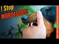 ⚠️ 5 Trucos para ADIESTRAR y ENSEÑAR a tu PERRO a NO MORDER 🐺🖐🏼 (Infalible para Cachorro!!)