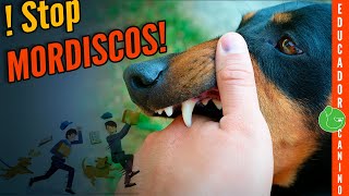 ⚠ 5 Trucos para ADIESTRAR y ENSEÑAR a tu PERRO a NO MORDER  (Infalible para Cachorro!!)