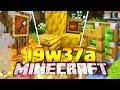 LE NOVITÃ€ SEGRETE della 1.15- Minecraft ITA - Snapshot 19w37a