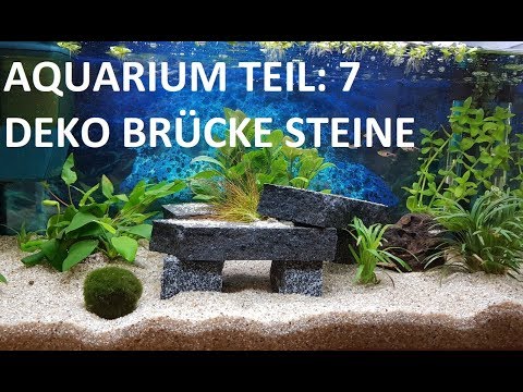 AQUARIUM einrichten anfänger DEKO BRÜCKE STEINE Schritt für Schritt