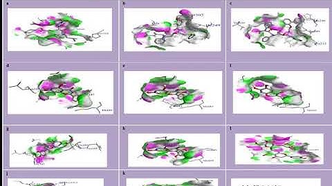 Bioflavonoids As Inhibitors of COVID 19 | Mr.Shailendra . Suryawanshi