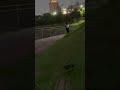 Open couple romance in jaipur park