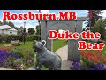 Duke the bear in rossburn manitoba  travels with bill