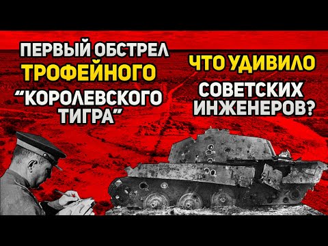 Что удивило советских инженеров при обстреле Королевского тигра в 1944 году?