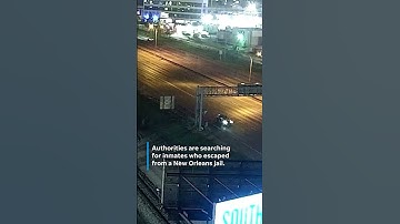 See how New Orleans inmates escaped jail #Shorts