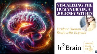 Celebrity Visualizing the Human Brain: A Journey Within Net Worth