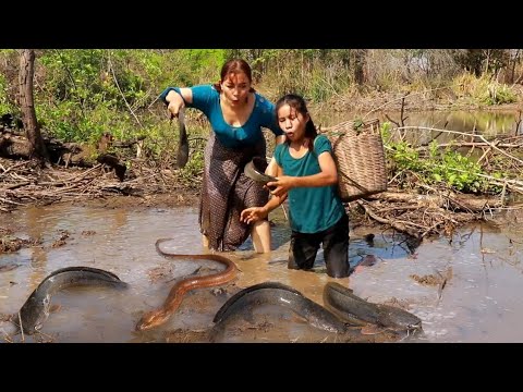 Catch and cook fish with ell for lunch- Cooking ell spicy & grill fish ...
