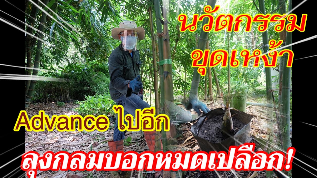 นวัตกรรมใหม่ขุดเหง้าไผ่…Advance ไปอีกขั้น…ลุงกลมบอกหมดเปลือก /ep. 123