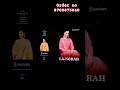 winter ki best collection#please like and subscribe#order only WhatsApp#8708875840