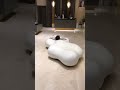Candice on balloon chair