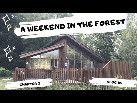 Forest Holiday Vlog Forest of Dean