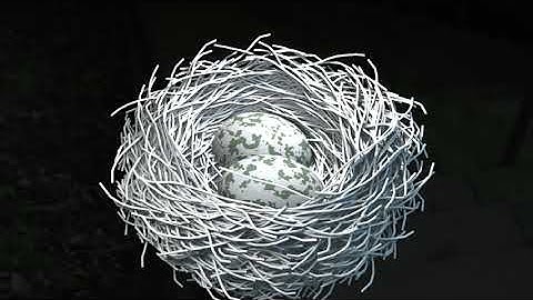 [Noding] Bird Nest - Blender Geometry Nodes 3.0 Field