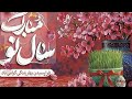 امیر حیدری جدید یارگلی اول بهار 1405       