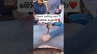 Ultra Sharp Knife Cutting a Shark 🦈🔪❤️ | මෝරව කැපුවා 🦈🔪#shark #sharkcutting
