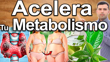 ¿Cómo desbloquear el metabolismo lento?