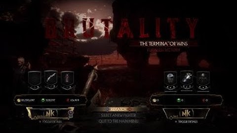 Mortal kombat 11 terminator brutality tutorial:  future assassin