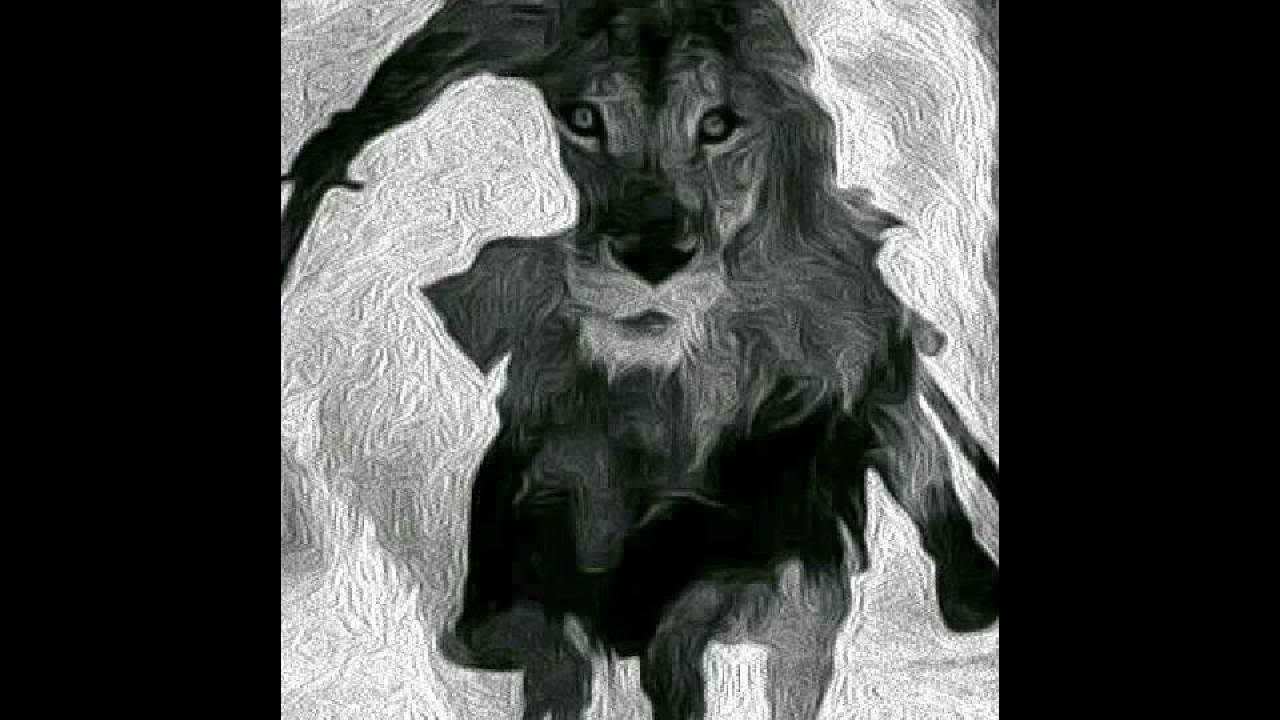 После коня остается седло после мужчины имя картинка. Смерть лошади на скачках. После коня остается. После коня остается седло после мужчины имя. Худая лошадь.