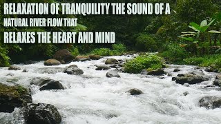 RELAXATION OF TRANQUILITY THE SOUND OF A NATURAL RIVER FLOW THAT RELAXES THE HEART AND MIND  #asmr