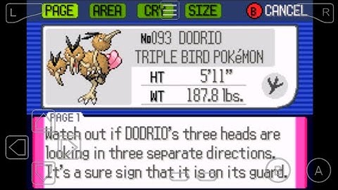 093: Where to Find Dodrio in Pokemon Ruby!