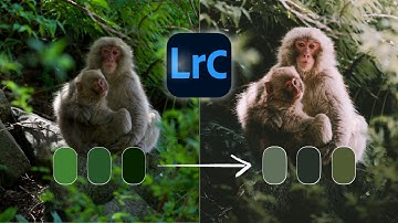 How to Master MOODY GREEN & BLUE TONES in Lightroom (Step-by-Step Tutorial)