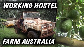 WORKING HOSTEL FARM AUSTRALIA(La mia esperienza in working hostel.... DVLOG DIVISI PER MESE qui troverete molti video con tante curiosità AGOSTO-SETTEMBRE 2015 ..., 2016-02-29T15:53:45.000Z)