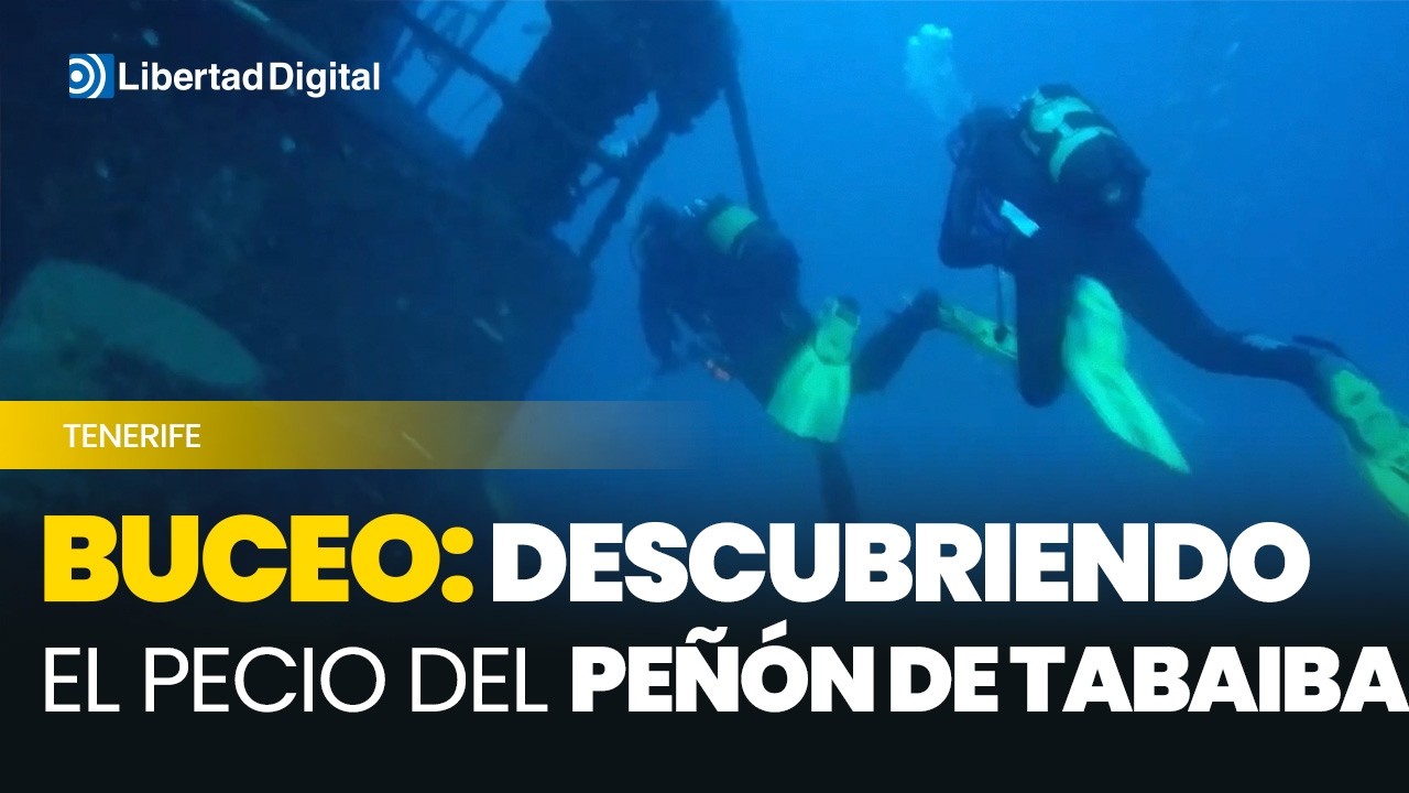 Buceo en Tenerife: descubriendo el pecio del Peñón de Tabaiba