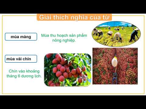 Tuần 3 - Tiếng việt 2 - Làm việc thật là vui (tiết 1) – Đọc Làm việc thật là vui