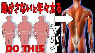 ENG/한 ) １日１回座って背中を捻るだけで早く痩せる！1回で背中がスッキリ痩せるエクササイズ｜タートルフィットネス