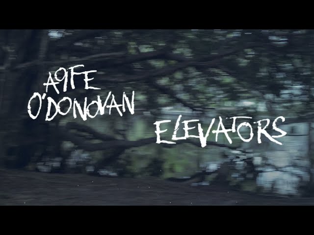 AOIFE O'DONOVAN - Elevators