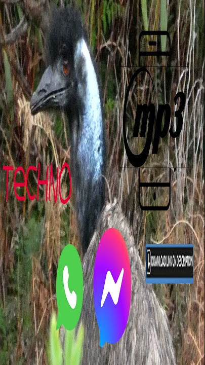 Modern Techno SMS signal/ringtone for android/samsung/iphone mp3 download in description