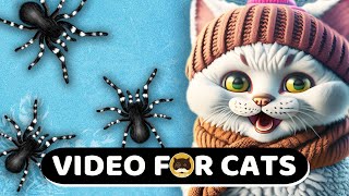Cat Games - Winter Spider. Videos For Cats | Cat & Dog Tv.