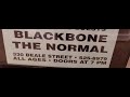 Capture de la vidéo The Normal And Blackbone Part 1(New Daisy Theater,Memphis Tn,1995Ish)