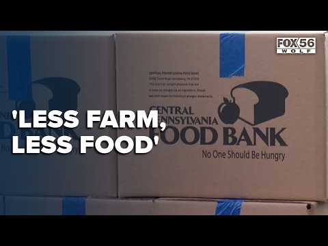 Pennsylvania officials report continued hunger demand, farmland loss