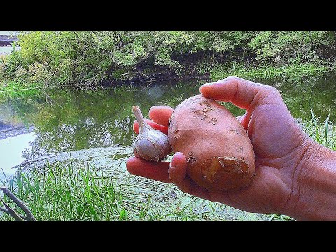 Картошка с Чесноком в Действии! Подводная съемка