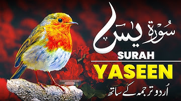 Surah Yaseen (Yasin) سورة يس | Ultimate Relaxing Quran Will Touch Your Heart إن شاء الله #surahyasin