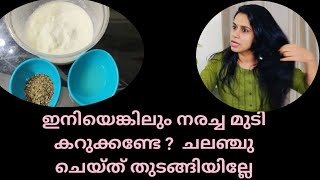 ഇനി ഒരിക്കലും മുടി നരക്കില്ല നരച്ച മുടി മുഴുവൻ കറുത്ത് തുടങ്ങും |White hair turns to black naturally